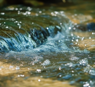 A fé que não força